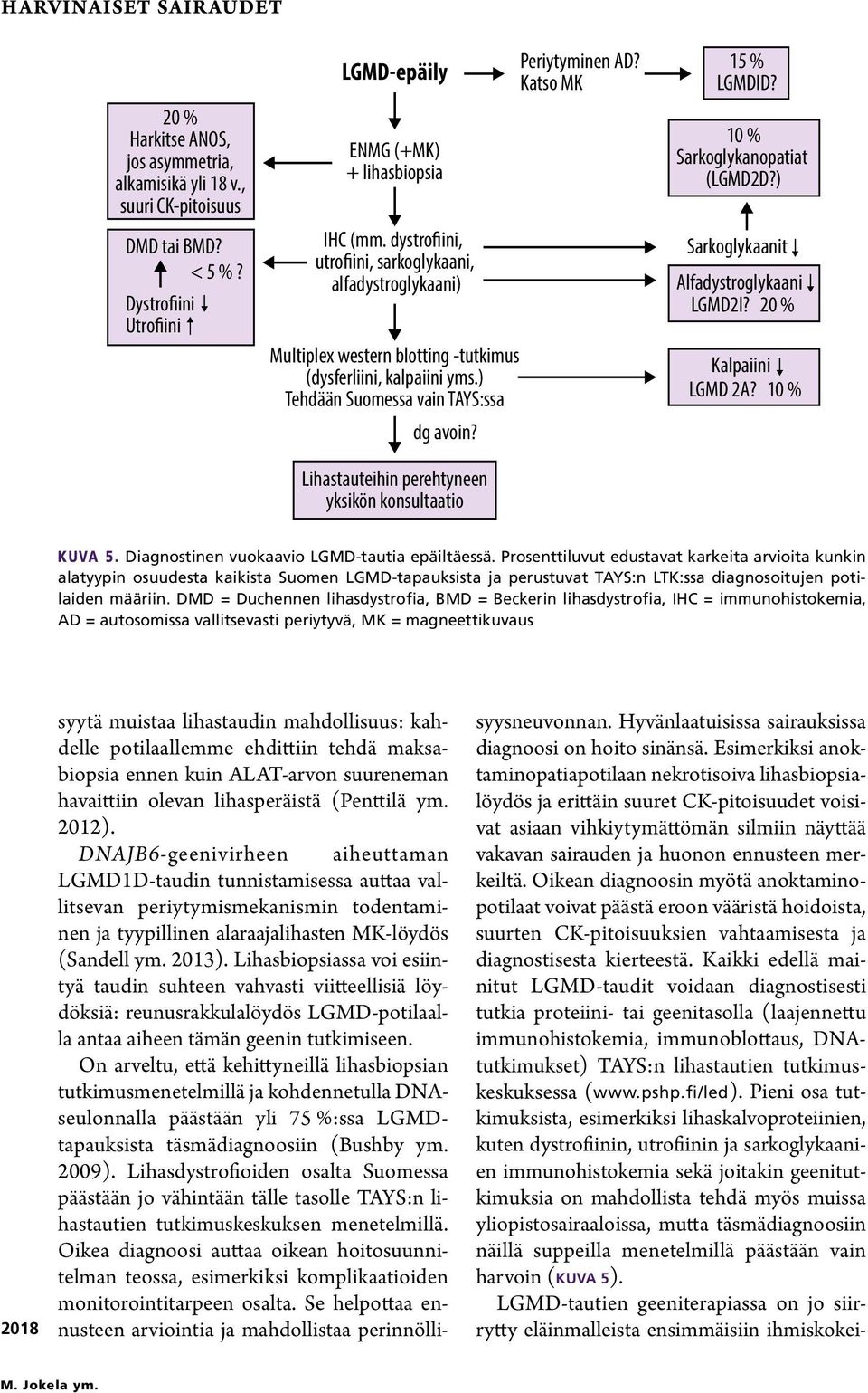 Lihastauteihin perehtyneen yksikön konsultaatio Periytyminen AD? Katso MK 15 % LGMDID? 10 % Sarkoglykanopatiat (LGMD2D?) Sarkoglykaanit Alfadystroglykaani LGMD2I? 20 % Kalpaiini LGMD 2A? 10 % KUVA 5.