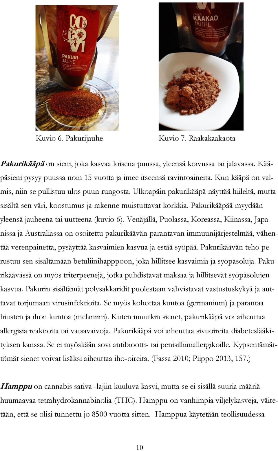 Pakurikääpää myydään yleensä jauheena tai uutteena (kuvio 6).