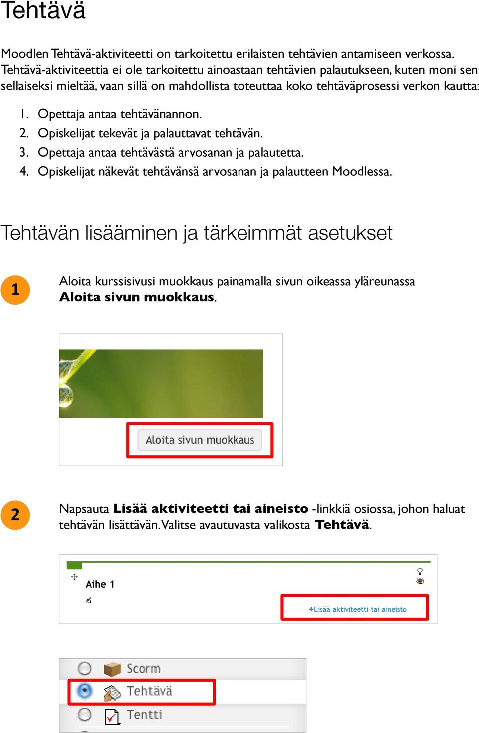 Opettaja antaa tehtävänannon. 2. Opiskelijat tekevät ja palauttavat tehtävän. 3. Opettaja antaa tehtävästä arvosanan ja palautetta. 4.