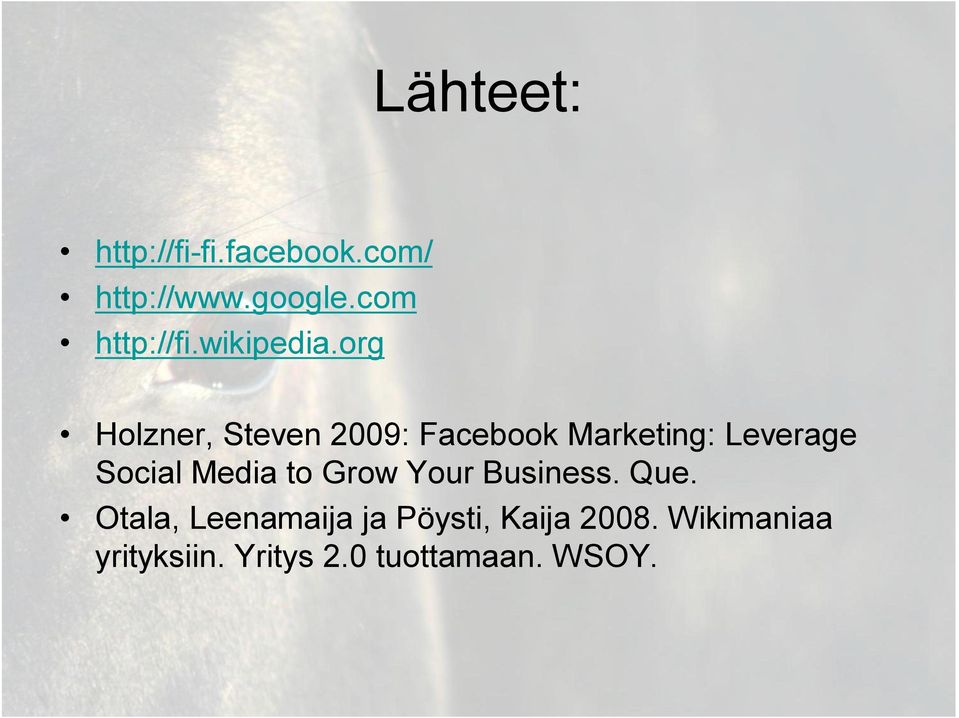 org Holzner, Steven 2009: Facebook Marketing: Leverage Social