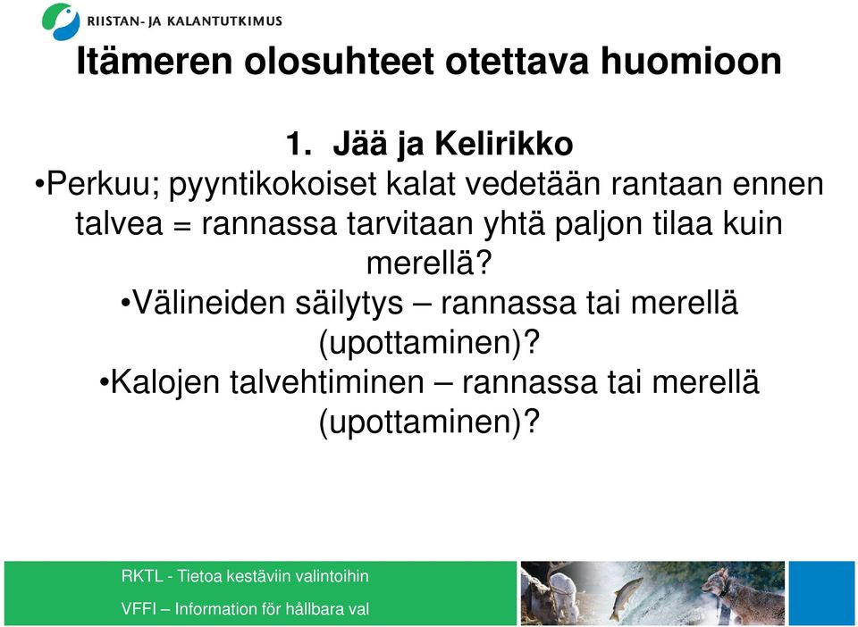 talvea = rannassa tarvitaan yhtä paljon tilaa kuin merellä?