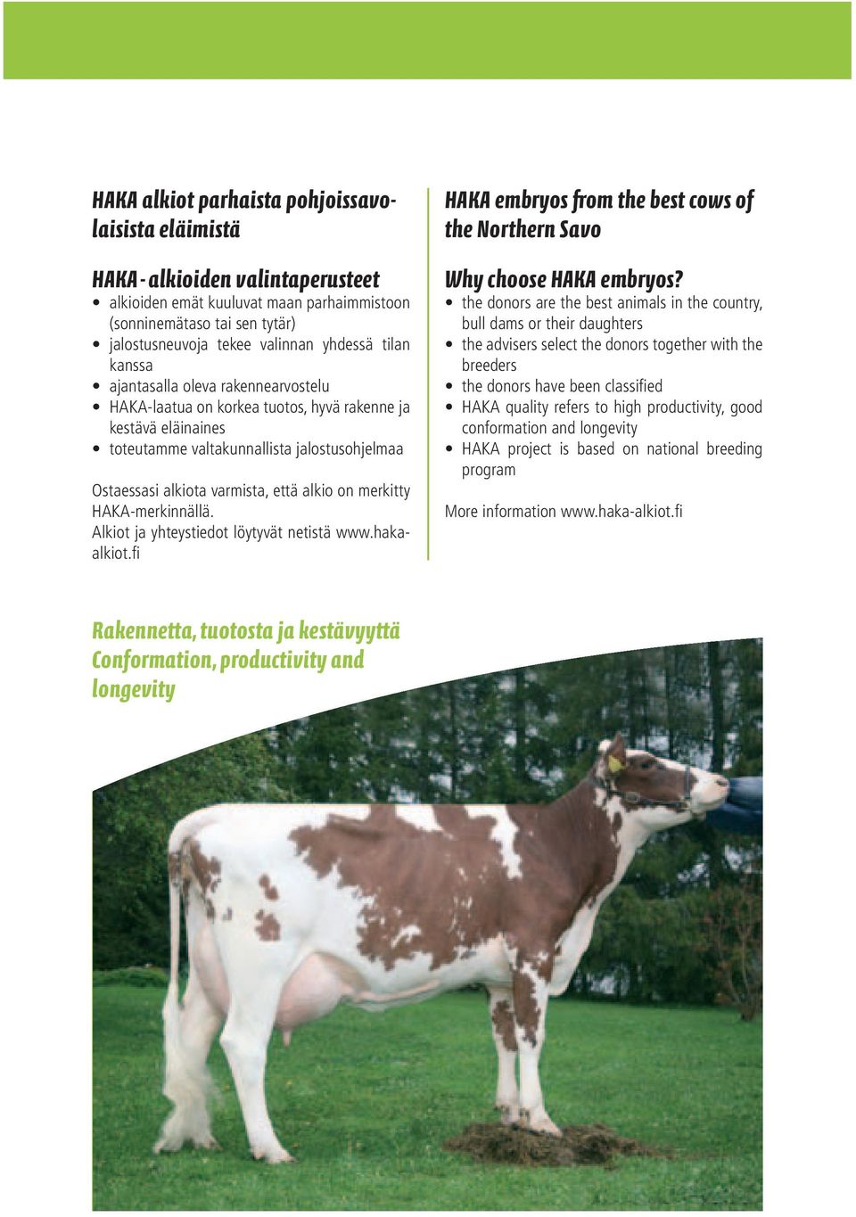 on merkitty HAKA-merkinnällä. Alkiot ja yhteystiedot löytyvät netistä www.hakaalkiot.fi HAKA embryos from the best cows of the Northern Savo Why choose HAKA embryos?