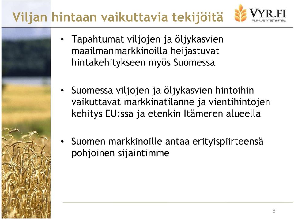 ja öljykasvien hintoihin vaikuttavat markkinatilanne ja vientihintojen kehitys