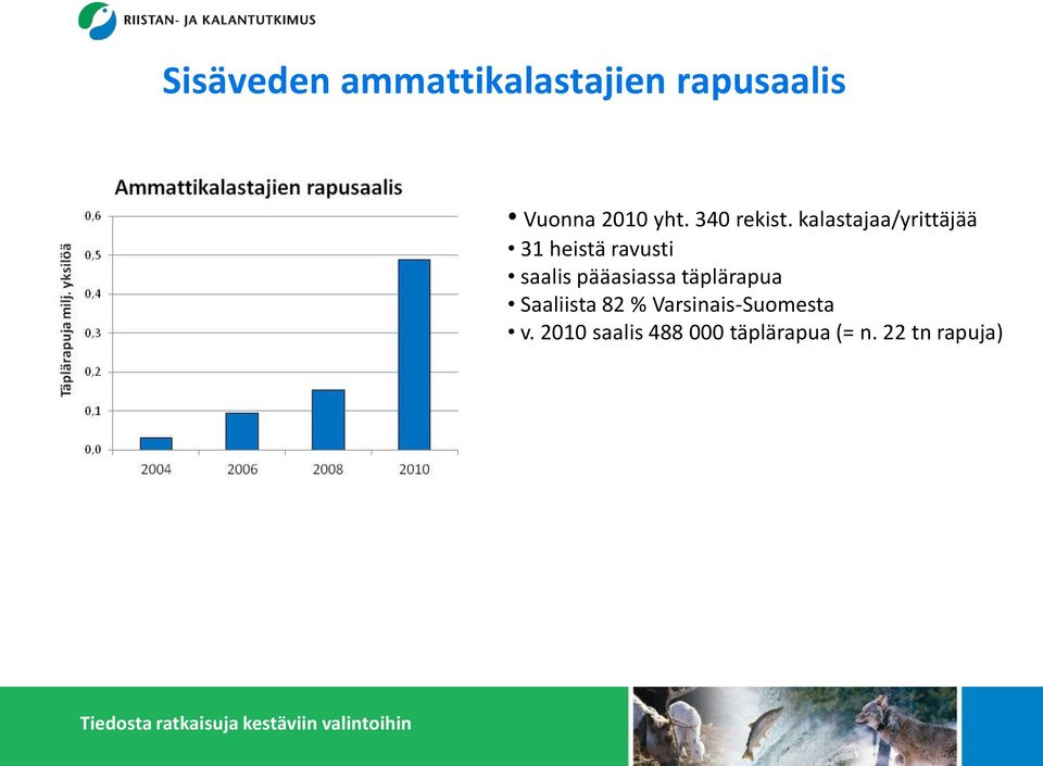 kalastajaa/yrittäjää 31 heistä ravusti saalis