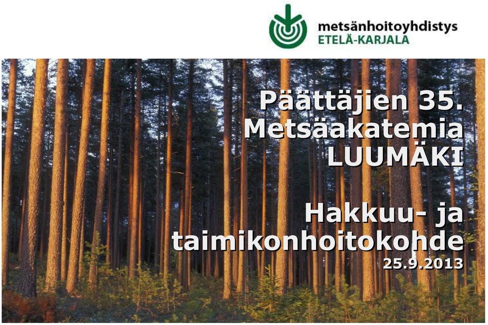 LUUMÄKI Hakkuu- ja