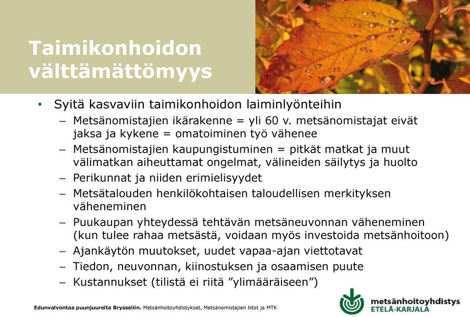 välineiden säilytys ja huolto Perikunnat ja niiden erimielisyydet Metsätalouden henkilökohtaisen taloudellisen merkityksen väheneminen Puukaupan yhteydessä