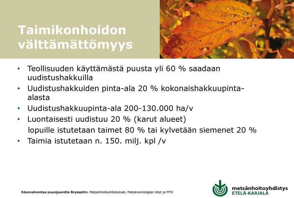 Uudistushakkuupinta-ala 200-130.