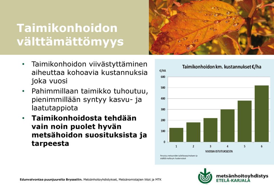 pienimmillään syntyy kasvu- ja laatutappiota