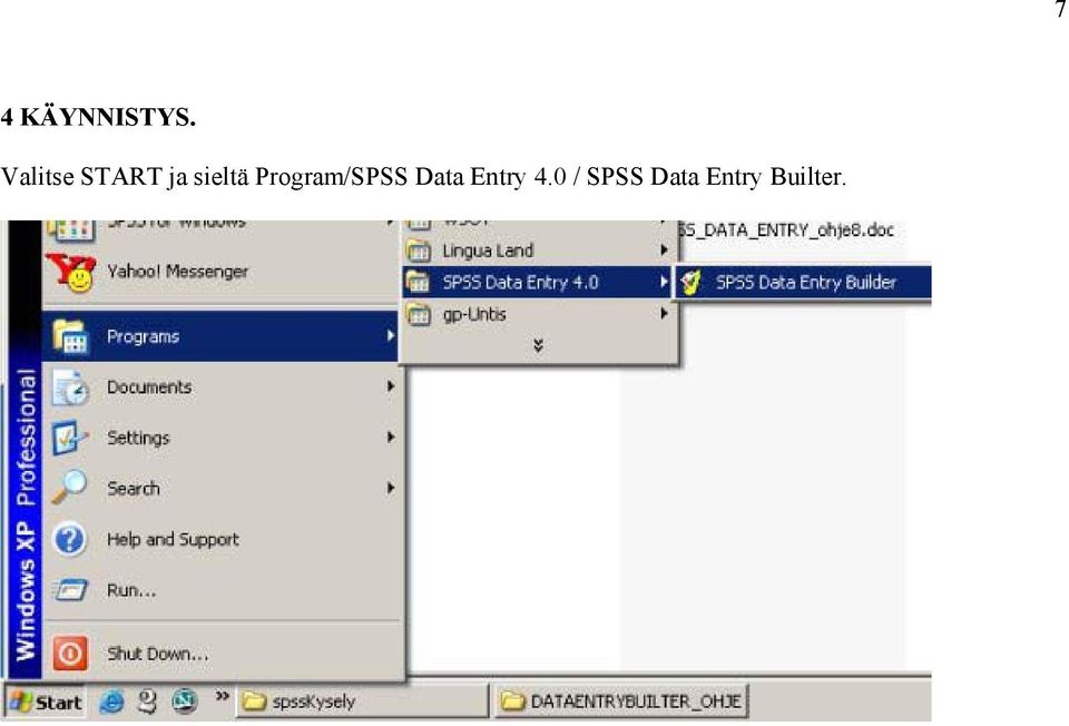 Program/SPSS Data Entry