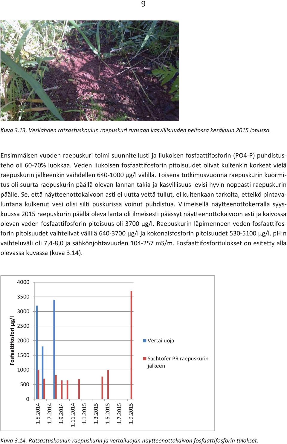 Veden liukoisen fosfaattifosforin pitoisuudet olivat kuitenkin korkeat vielä raepuskurin jälkeenkin vaihdellen 640-1000 μg/l välillä.