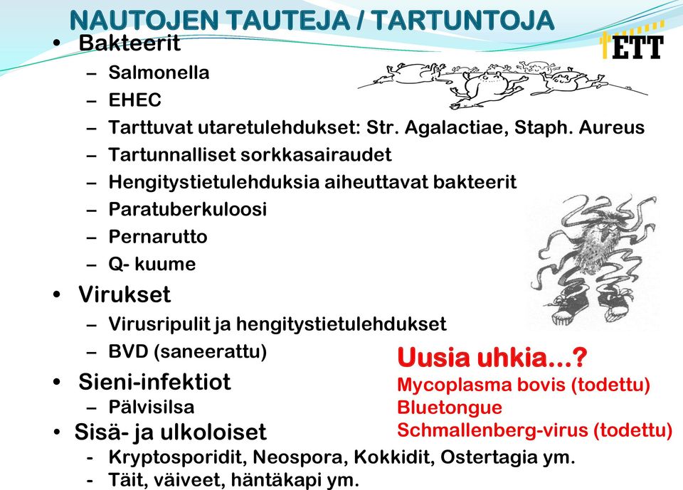 Virukset Virusripulit ja hengitystietulehdukset BVD (saneerattu) Sieni-infektiot Pälvisilsa Sisä- ja ulkoloiset Uusia uhkia.
