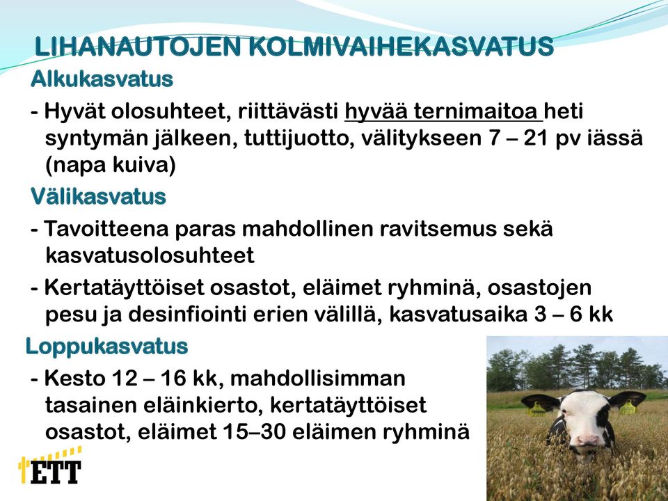 kasvatusolosuhteet - Kertatäyttöiset osastot, eläimet ryhminä, osastojen pesu ja desinfiointi erien välillä,