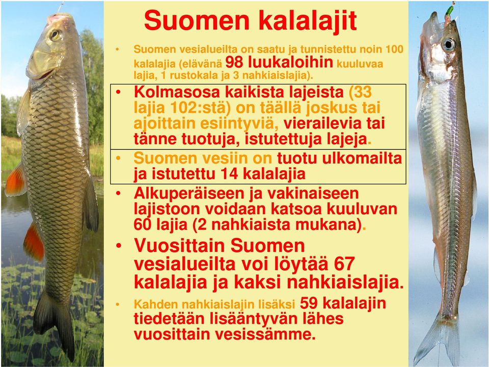 Suomen vesiin on tuotu ulkomailta ja istutettu 14 kalalajia Alkuperäiseen ja vakinaiseen lajistoon voidaan katsoa kuuluvan 60 lajia (2 nahkiaista mukana).