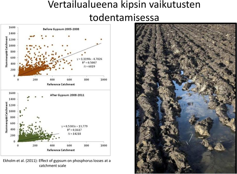 Ekholm et al.