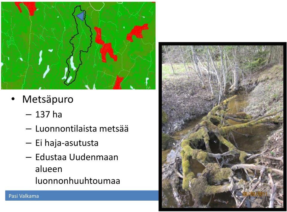 Ei haja-asutusta Edustaa