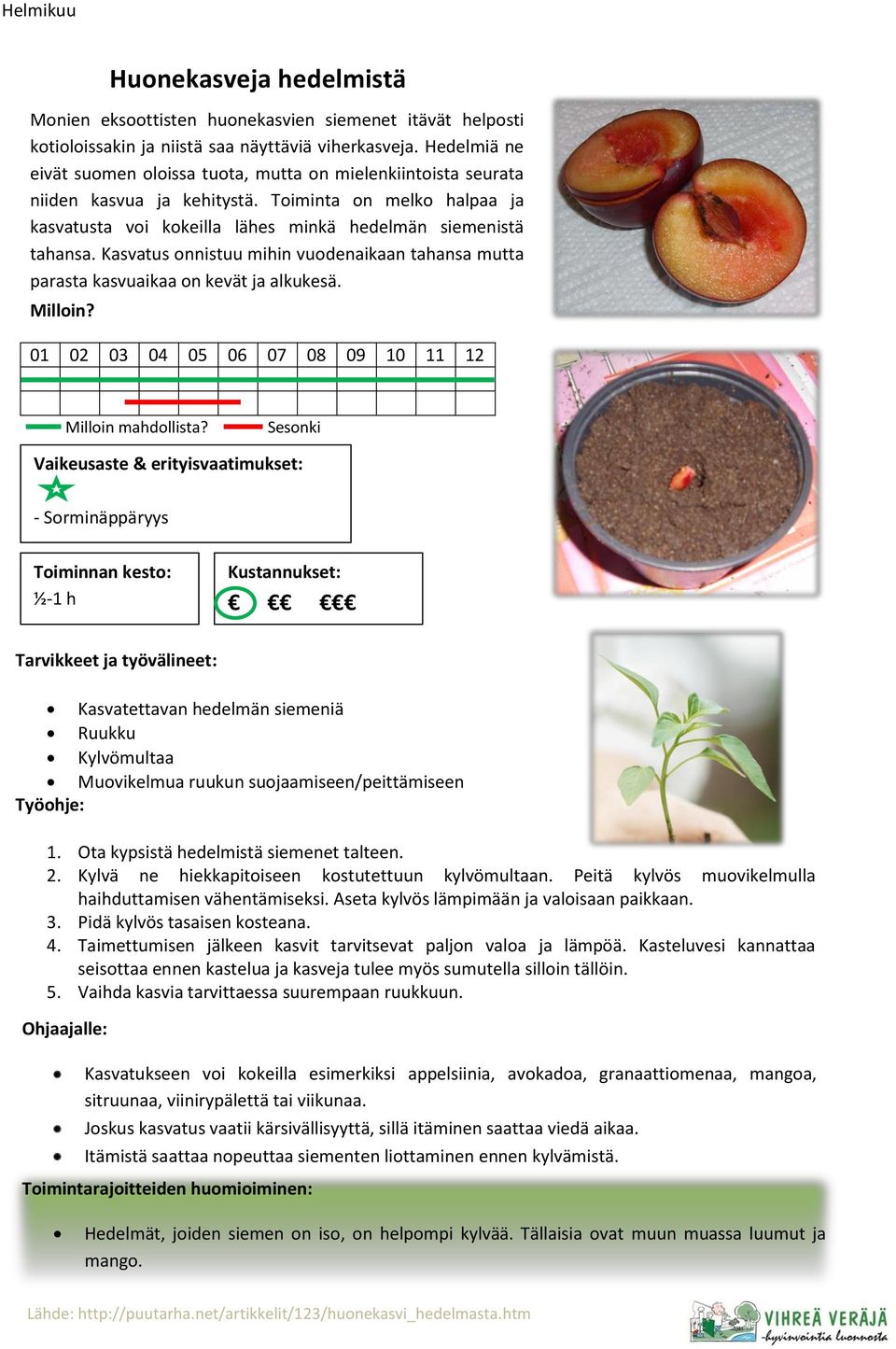 Kasvatus onnistuu mihin vuodenaikaan tahansa mutta parasta kasvuaikaa on kevät ja alkukesä.