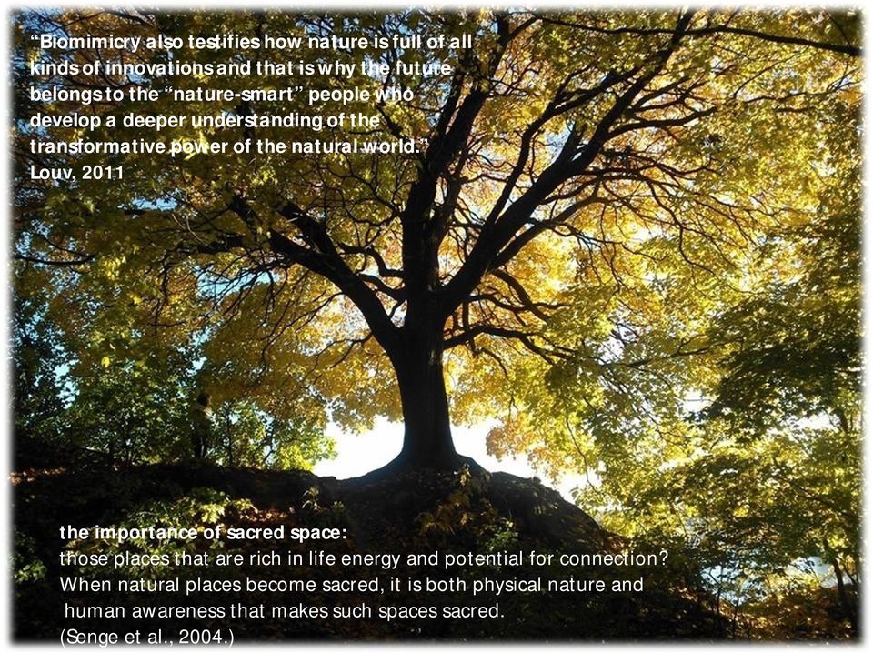 Louv, 2011 the importance of sacred space: those places that are rich in life energy and potential for connection?