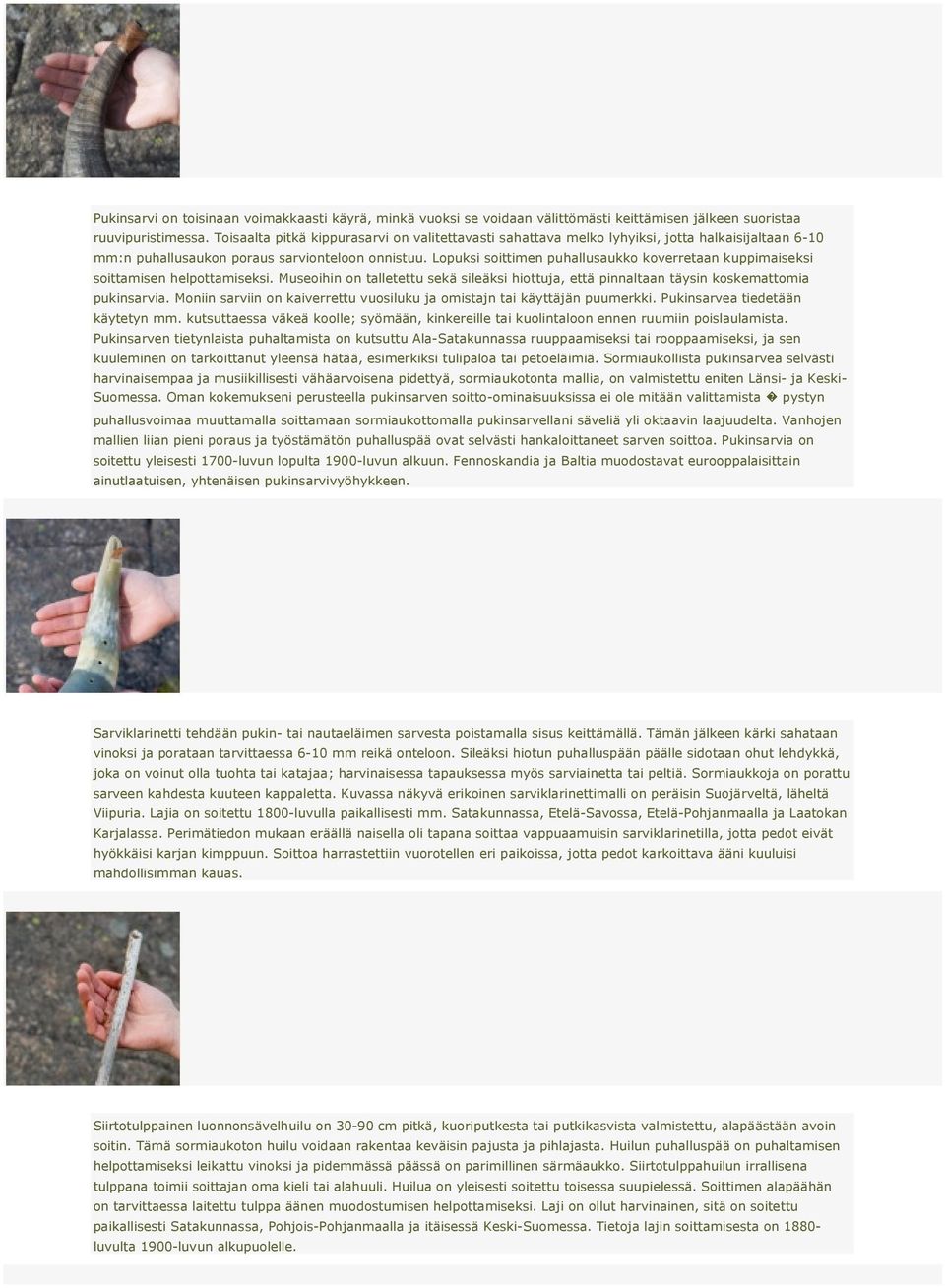 Lopuksi soittimen puhallusaukko koverretaan kuppimaiseksi soittamisen helpottamiseksi. Museoihin on talletettu sekä sileäksi hiottuja, että pinnaltaan täysin koskemattomia pukinsarvia.