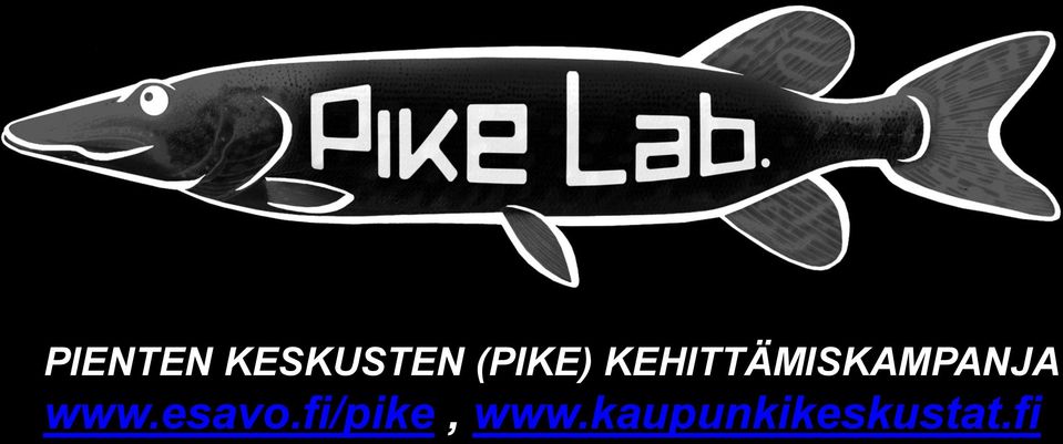 KEHITTÄMISKAMPANJA