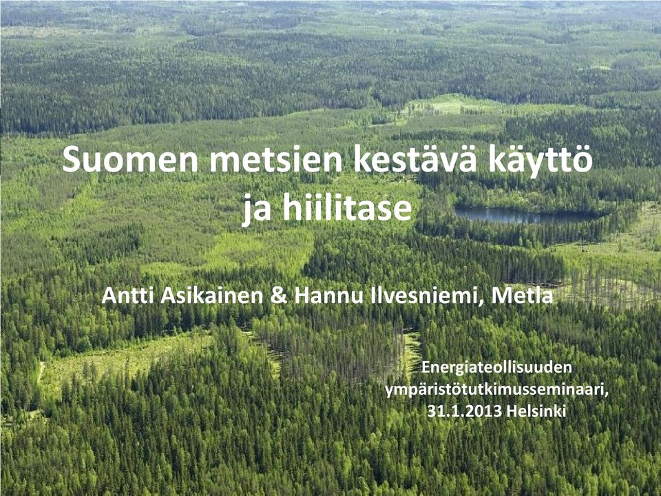 Ilvesniemi, Metla Energiateollisuuden