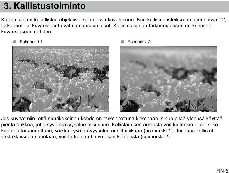 Esimerkki 1 Esimerkki 2 Jos kuvaat niin, että suurikokoinen kohde on tarkennettuna kokonaan, sinun pitää yleensä käyttää pientä aukkoa, jotta syväterävyysalue