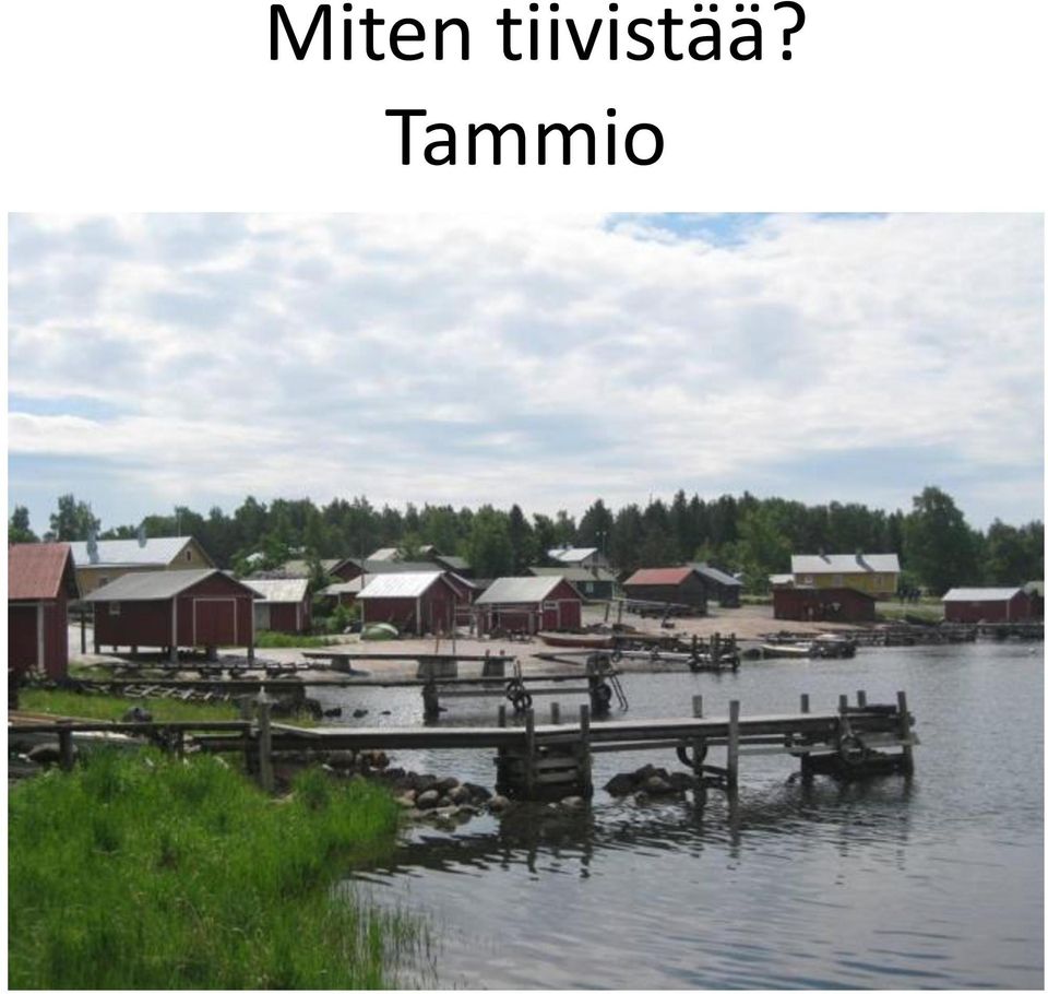 Tammio