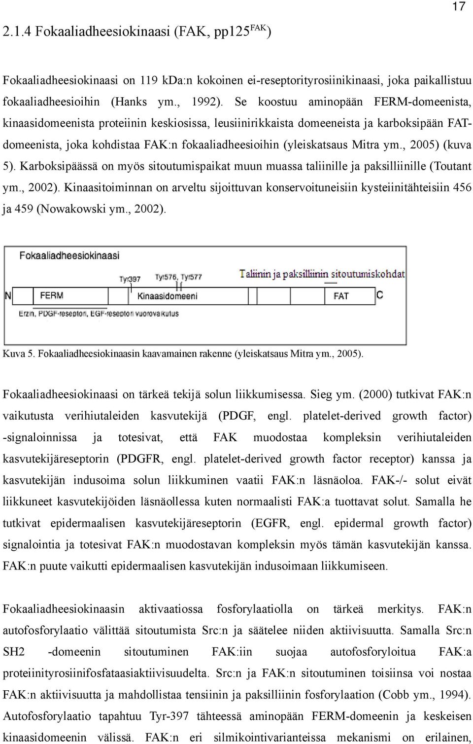 Mitra ym., 2005) (kuva 5). Karboksipäässä on myös sitoutumispaikat muun muassa taliinille ja paksilliinille (Toutant ym., 2002).