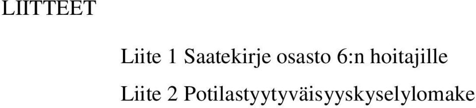 hoitajille Liite 2