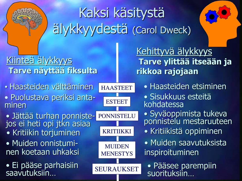 MENESTYS Kehittyvä älykkyys Tarve ylittää itseään ja rikkoa rajojaan Haasteiden etsiminen Sisukkuus esteitä kohdatessa Syväoppimista tukeva