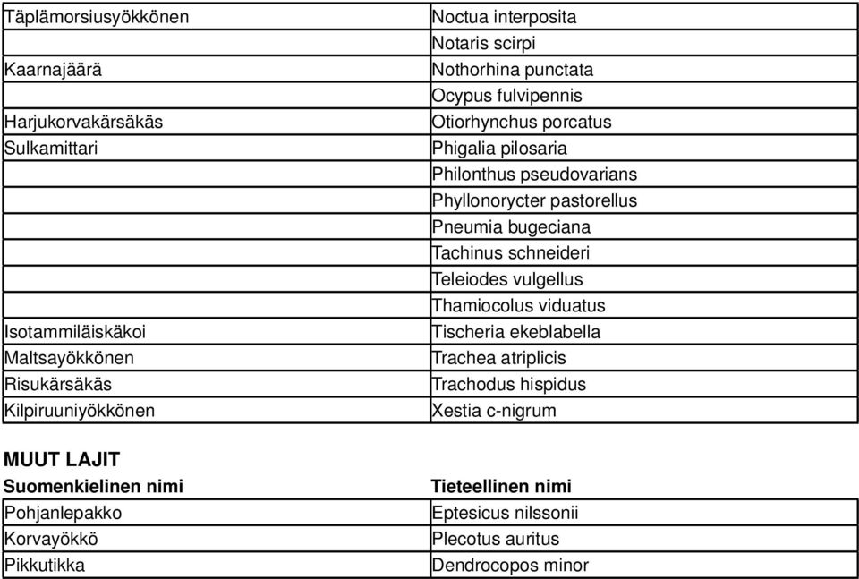 pastorellus Pneumia bugeciana Tachinus schneideri Teleiodes vulgellus Thamiocolus viduatus Tischeria ekeblabella Trachea atriplicis Trachodus