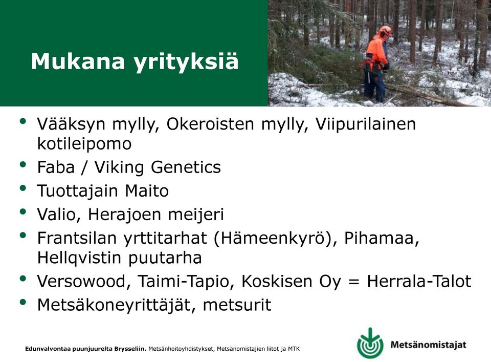 meijeri Frantsilan yrttitarhat (Hämeenkyrö), Pihamaa, Hellqvistin