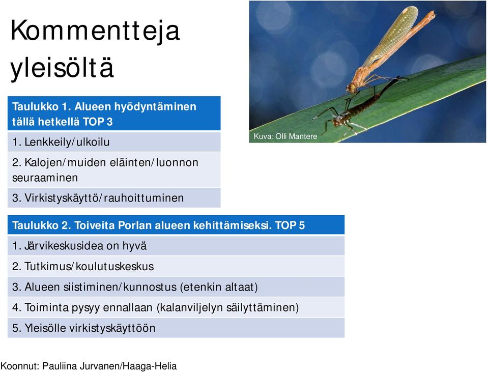 Toiveita Porlan alueen kehittämiseksi. TOP 5 1. Järvikeskusidea on hyvä 2. Tutkimus/koulutuskeskus 3.