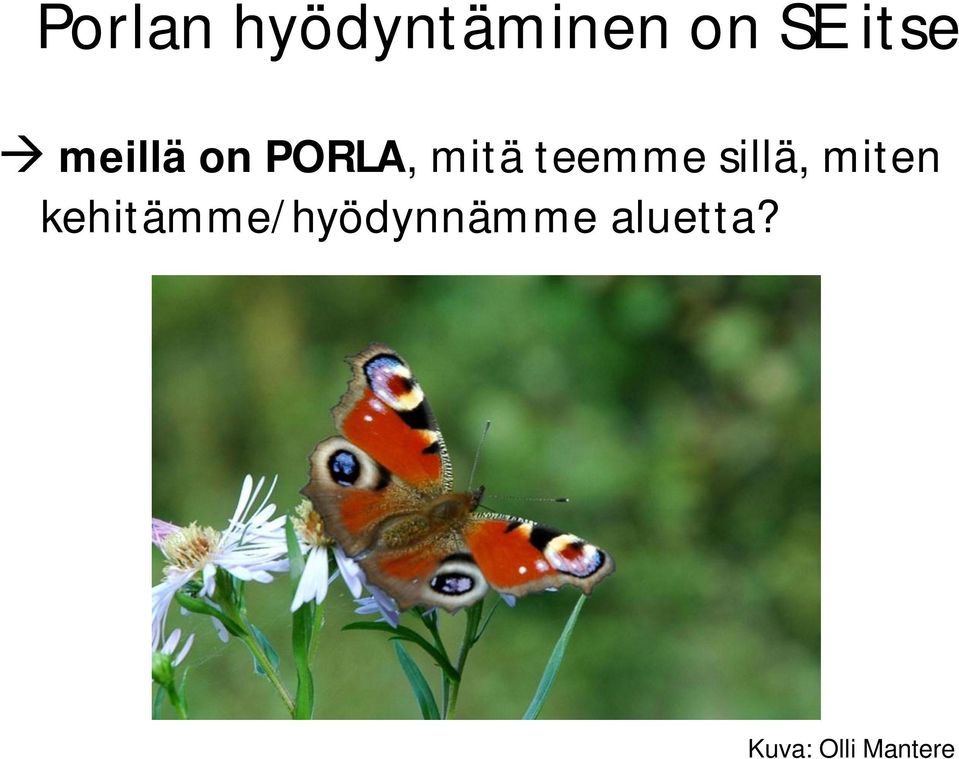 mitä teemme sillä, miten