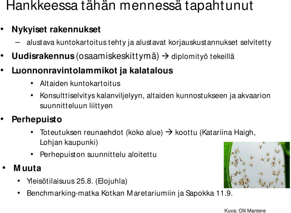 kalanviljelyyn, altaiden kunnostukseen ja akvaarion suunnitteluun liittyen Perhepuisto Muuta Toteutuksen reunaehdot (koko alue) koottu