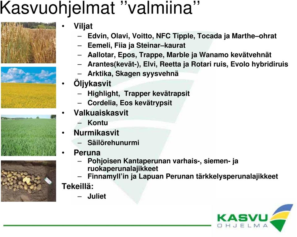 syysvehnä Öljykasvit Highlight, Trapper kevätrapsit Cordelia, Eos kevätrypsit Valkuaiskasvit Kontu Nurmikasvit Säilörehunurmi