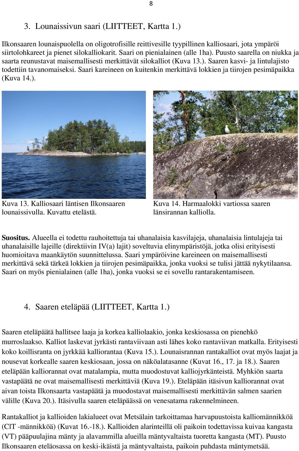 Saari kareineen on kuitenkin merkittävä lokkien ja tiirojen pesimäpaikka (Kuva 14.). Kuva 13. Kalliosaari läntisen Ilkonsaaren lounaissivulla. Kuvattu etelästä. Kuva 14.