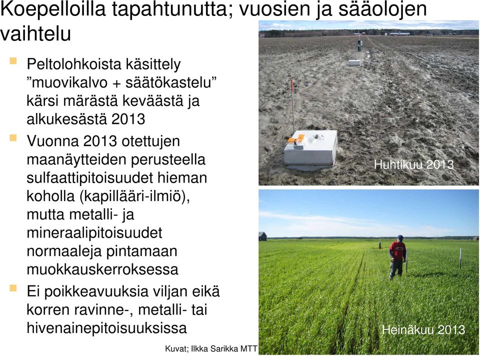 koholla (kapillääri-ilmiö), mutta metalli- ja mineraalipitoisuudet normaaleja pintamaan muokkauskerroksessa Ei