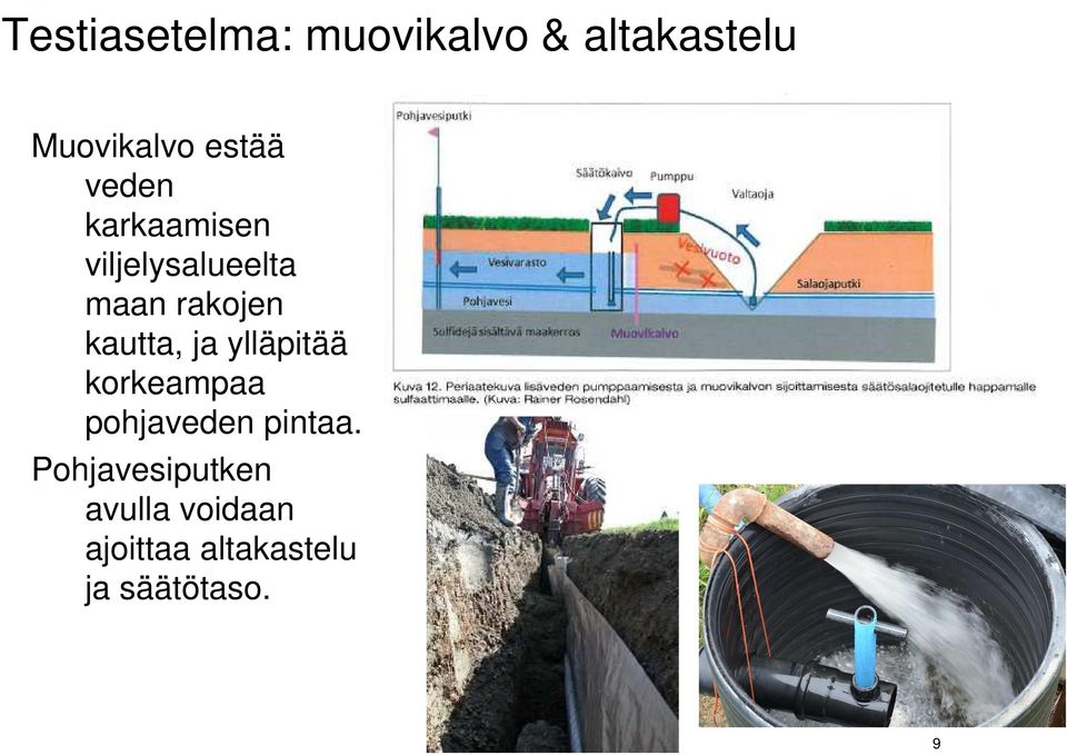 kautta, ja ylläpitää korkeampaa pohjaveden pintaa.