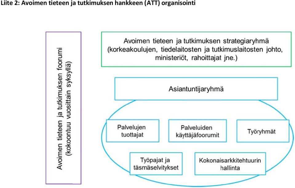 tutkimuksen