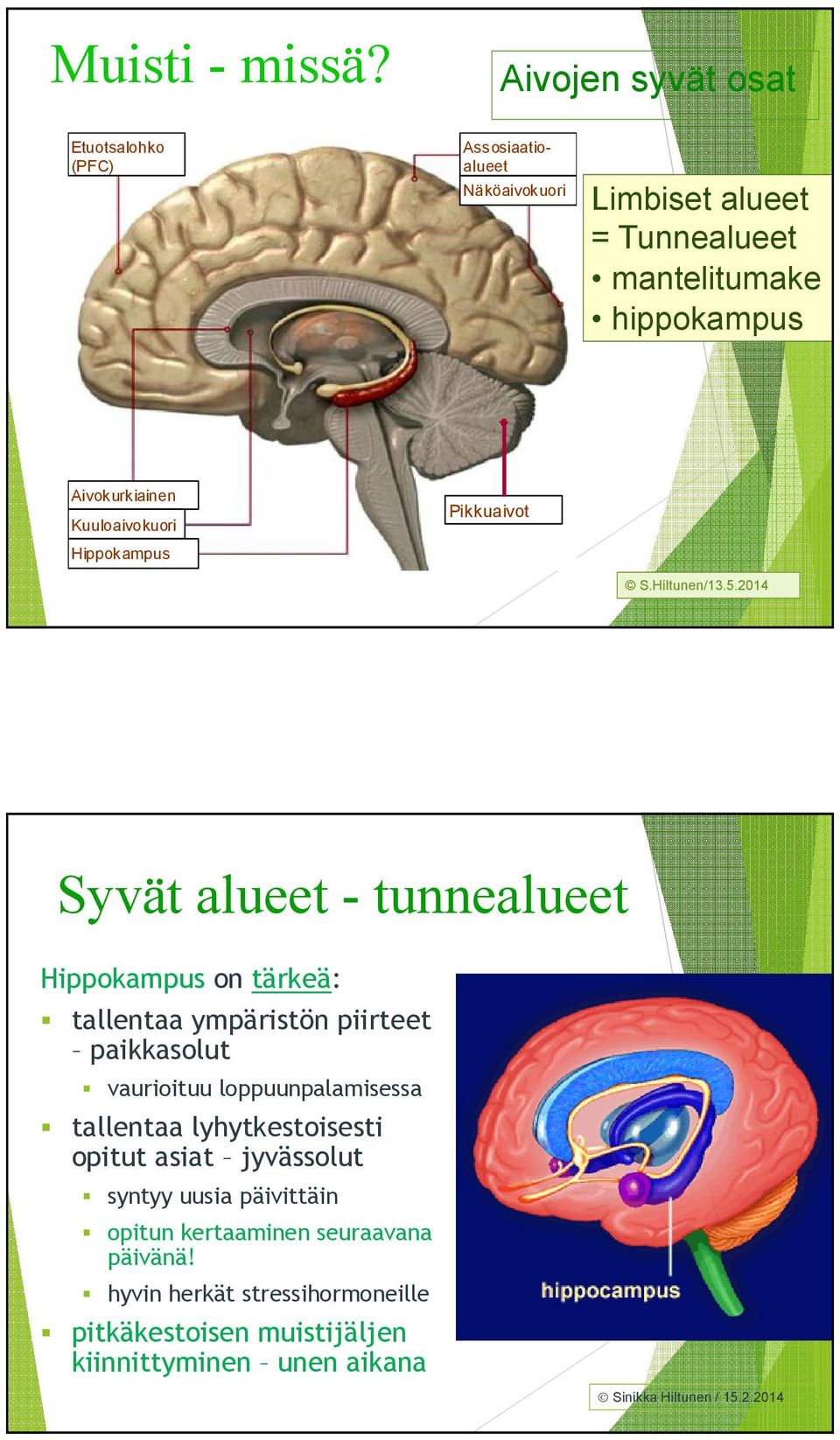 Kuuloaivokuori Hippokampus http://www.shockmd.