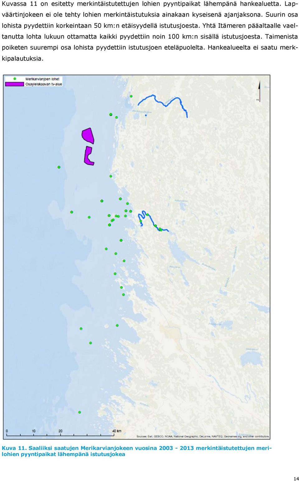 Suurin osa lohista pyydettiin korkeintaan 50 km:n etäisyydellä istutusjoesta.