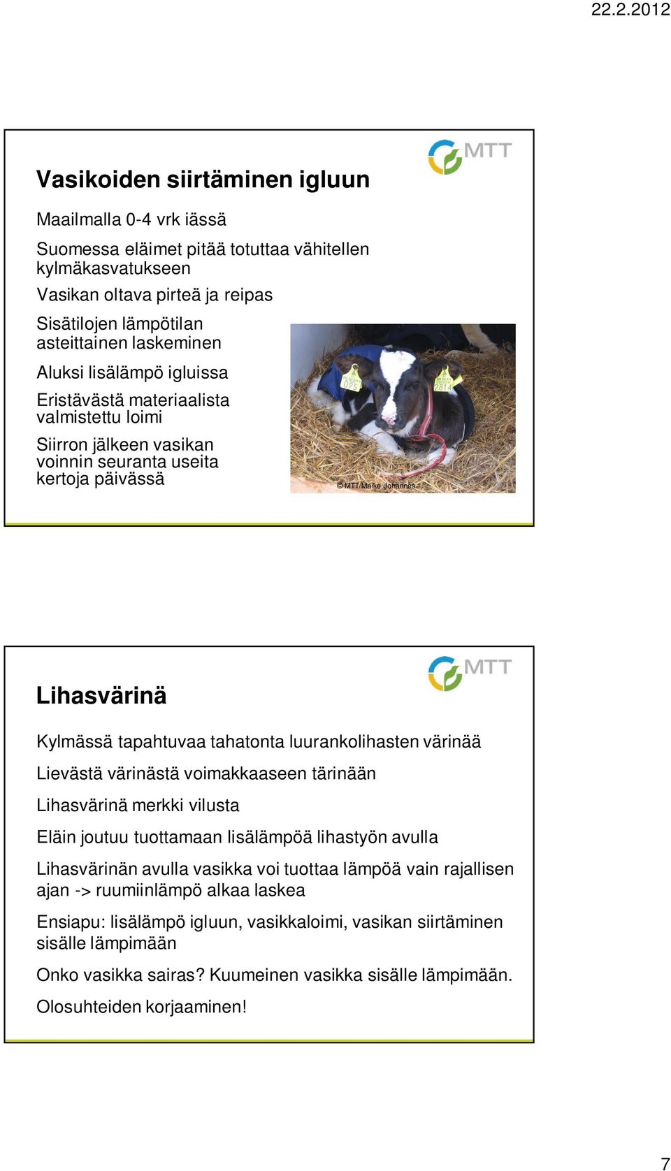 luurankolihasten värinää Lievästä värinästä voimakkaaseen tärinään Lihasvärinä merkki vilusta Eläin joutuu tuottamaan lisälämpöä lihastyön avulla Lihasvärinän avulla vasikka voi tuottaa lämpöä vain