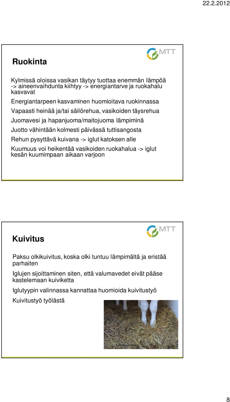 kuivana -> iglut katoksen alle Kuumuus voi heikentää vasikoiden ruokahalua -> iglut kesän kuumimpaan aikaan varjoon Kuivitus Paksu olkikuivitus, koska olki tuntuu lämpimältä ja