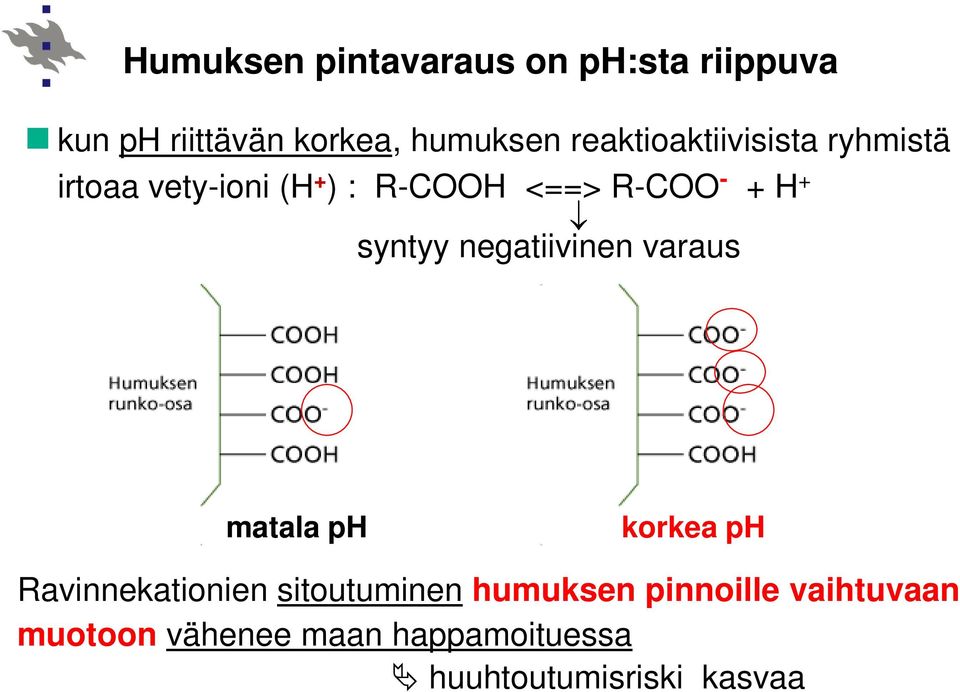 syntyy negatiivinen varaus matala ph korkea ph Ravinnekationien sitoutuminen