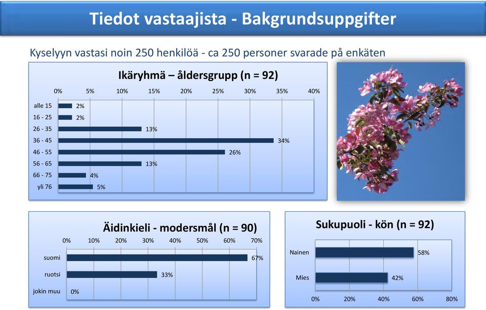 36-45 34% 46-55 26% 56-65 13% 66-75 4% yli 76 5% Äidinkieli - modersmål (n = 90) Sukupuoli - kön (n =