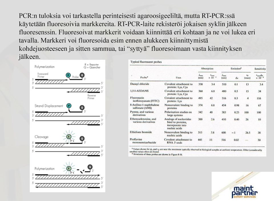 Fluoresoivat markkerit voidaan kiinnittää eri kohtaan ja ne voi lukea eri tavalla.