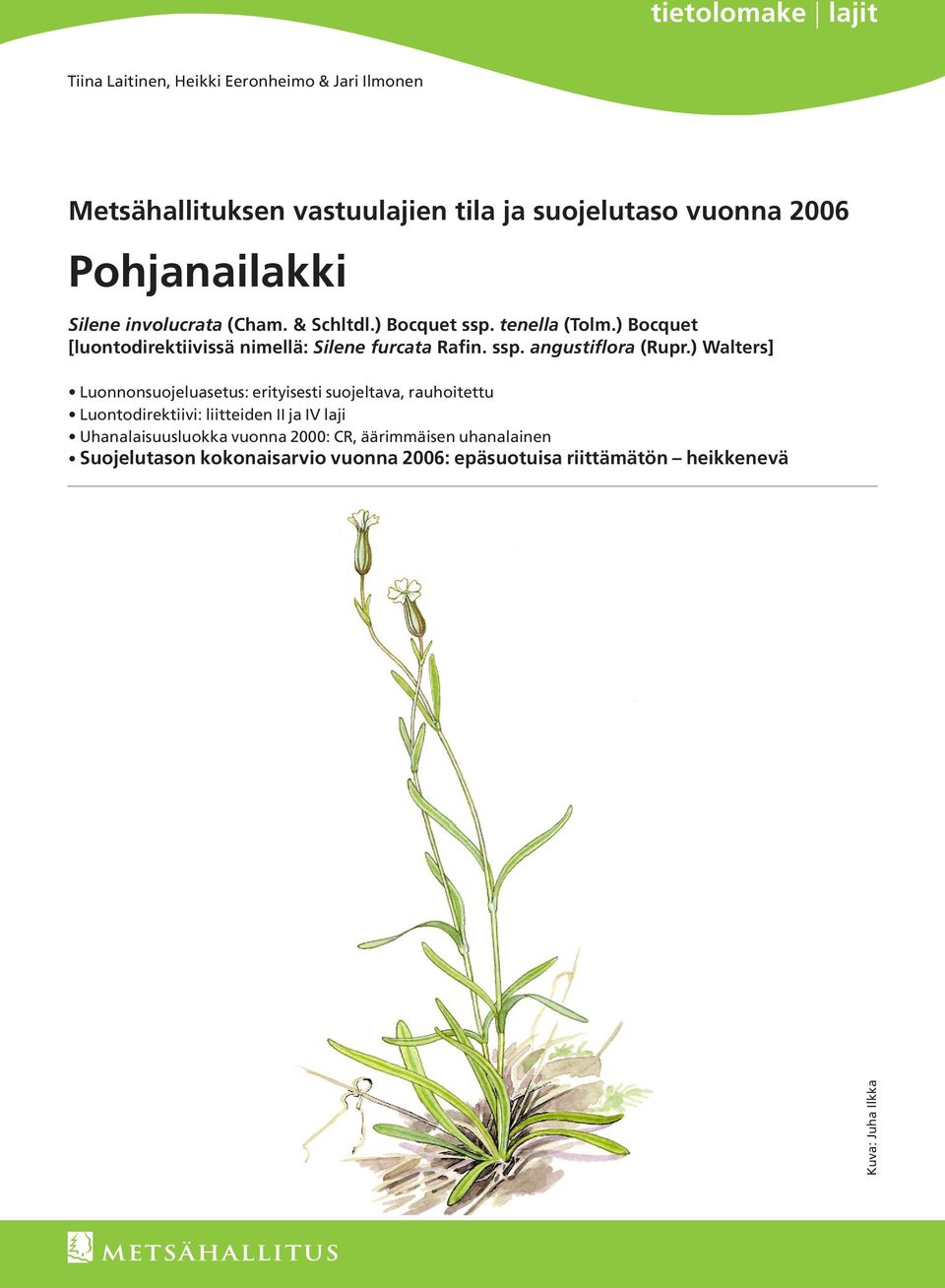 ssp. angustiflora (Rupr.