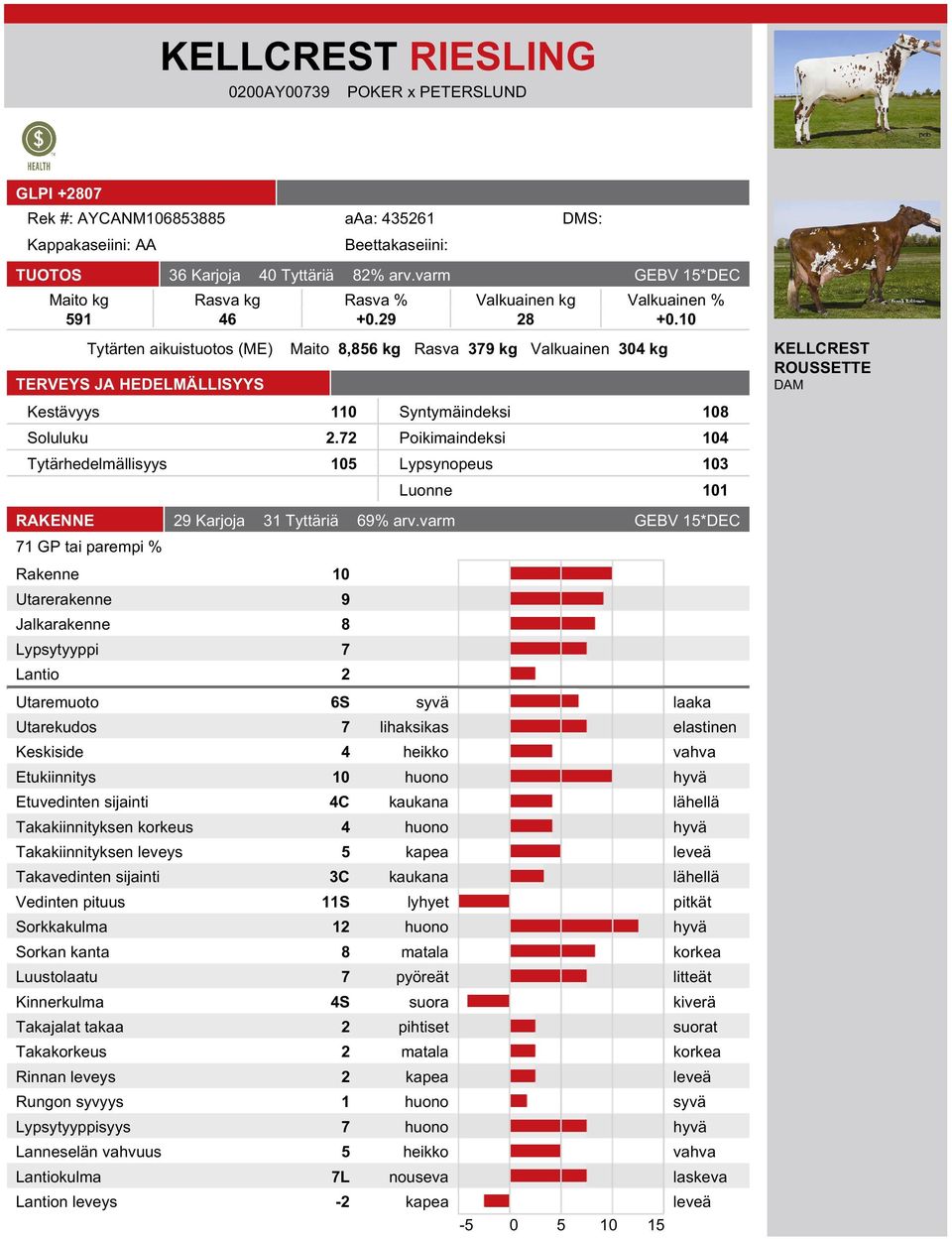 72 Poikimaindeksi 104 Tytärhedelmällisyys 105 Lypsynopeus 103 Luonne 101 KELLCREST ROUSSETTE DAM RAKENNE 29 Karjoja 31 Tyttäriä 69% arv.