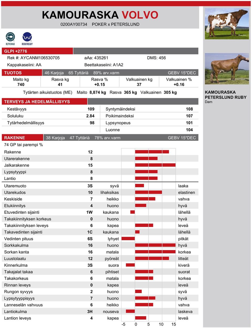 84 Poikimaindeksi 107 Tytärhedelmällisyys 98 Lypsynopeus 101 Luonne 104 KAMOURASKA PETERSLUND RUBY Dam RAKENNE 38 Karjoja 47 Tyttäriä 78% arv.