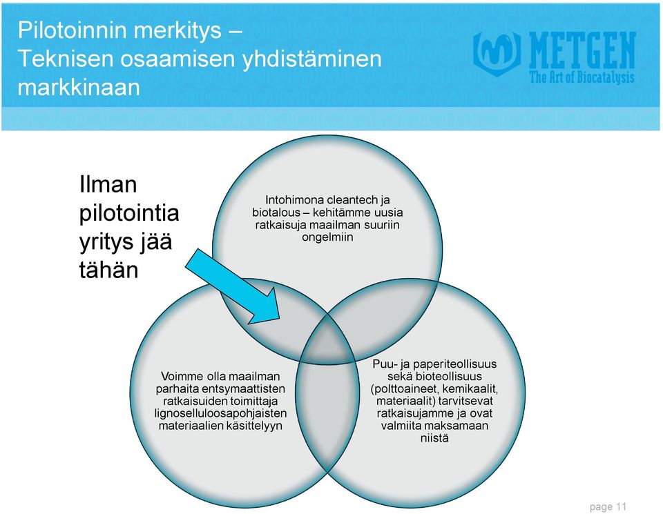 entsymaattisten ratkaisuiden toimittaja lignoselluloosapohjaisten materiaalien käsittelyyn Puu- ja